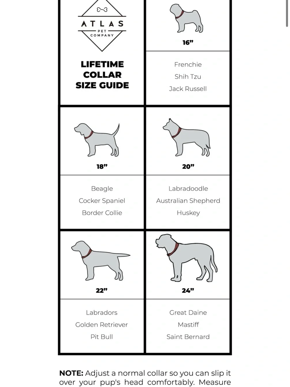 Lifetime Collar